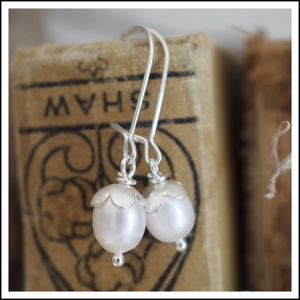 PAIRD Petal & Pearl Kidney Wires - Silver