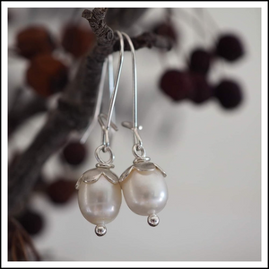 PAIRD Petal & Pearl Kidney Wires - Silver