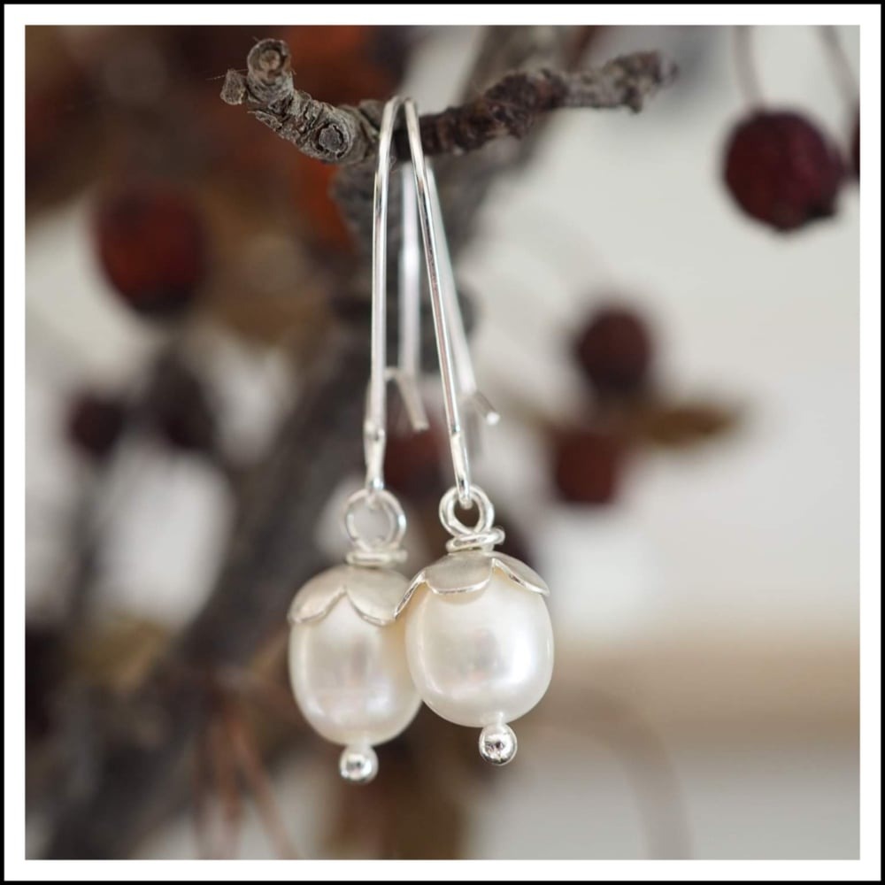 PAIRD Petal & Pearl Kidney Wires - Silver