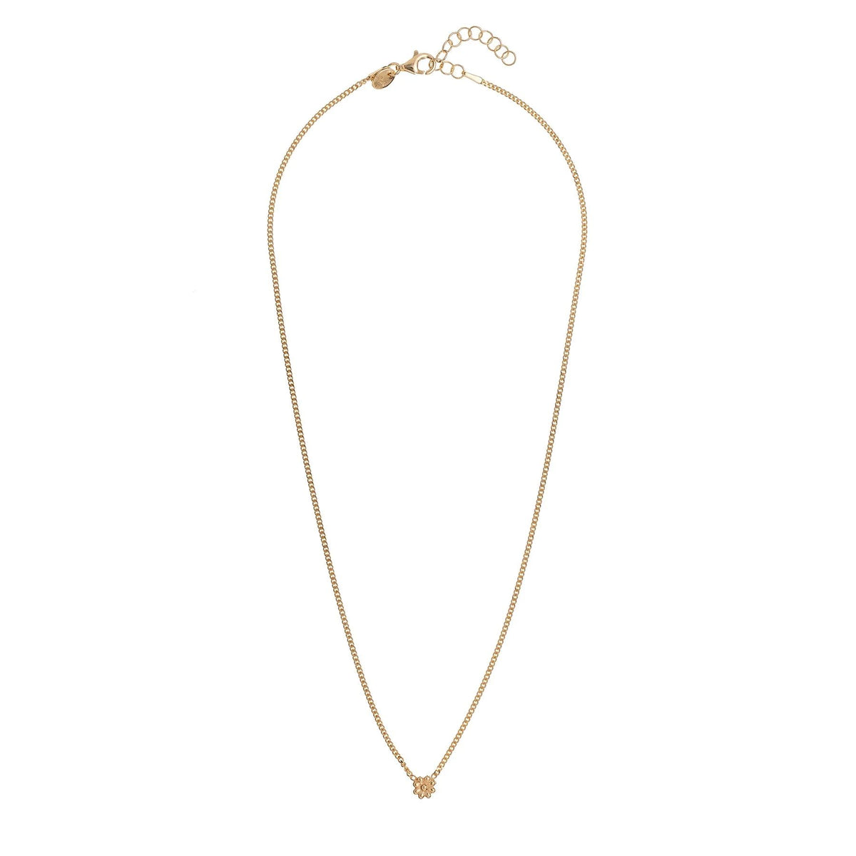 ALISIA Gold Necklace - Lily Simple Necklace - Zabecca Living