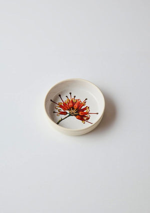 ANGUS & CELESTE Australian Botanicals Side Bowl - Grevillea Blossom bowl - Zabecca Living