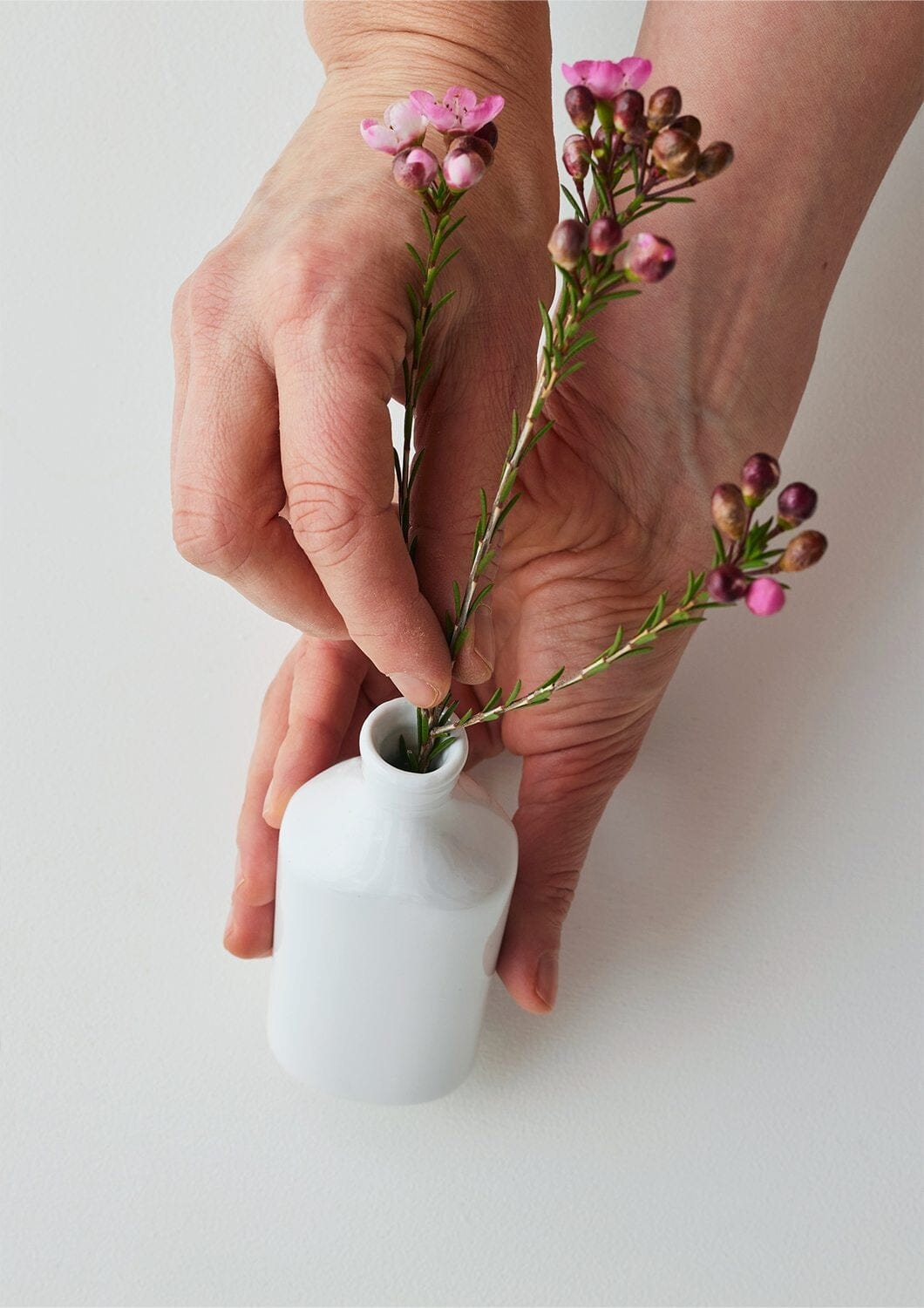 ANGUS & CELESTE Botanic Bottle - Maiden Fern VASE - Zabecca Living