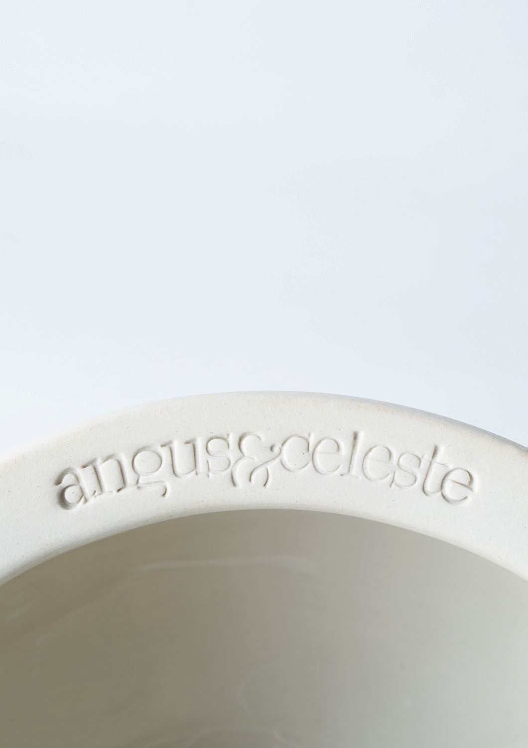 ANGUS & CELESTE Decorative Hanging Planter - Gold Spot POT - Zabecca Living
