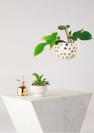 ANGUS & CELESTE Decorative Hanging Planter - Gold Spot POT - Zabecca Living