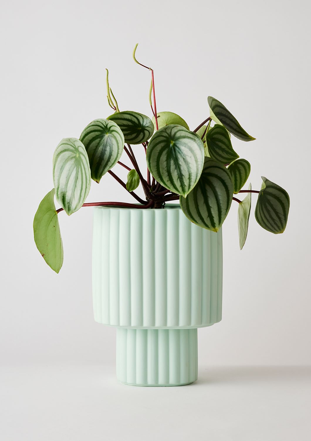ANGUS & CELESTE Modular Stack Planter - Mint POT - Zabecca Living