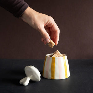 CAROLINE GARDNER Stoneware Pot - Pink/Yellow Stripe JAR - Zabecca Living