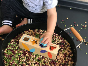 DJECO Boitabasic Shape Sorter TODDLER (1-3 Yrs) - Zabecca Living