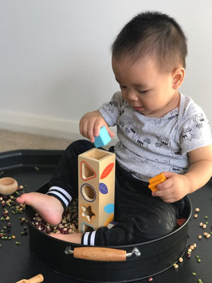 DJECO Boitabasic Shape Sorter TODDLER (1-3 Yrs) - Zabecca Living