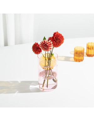 FAZEEK Balance Vase - Pink + Amber DRINKWARE - Zabecca Living