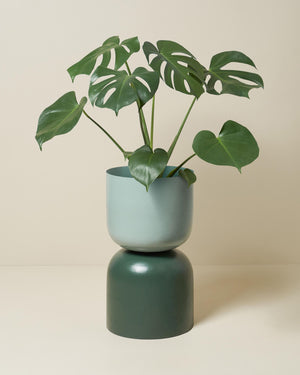 LIGHTLY Extra Large Two Tone Planter - Sage & Juniper Planter - Zabecca Living