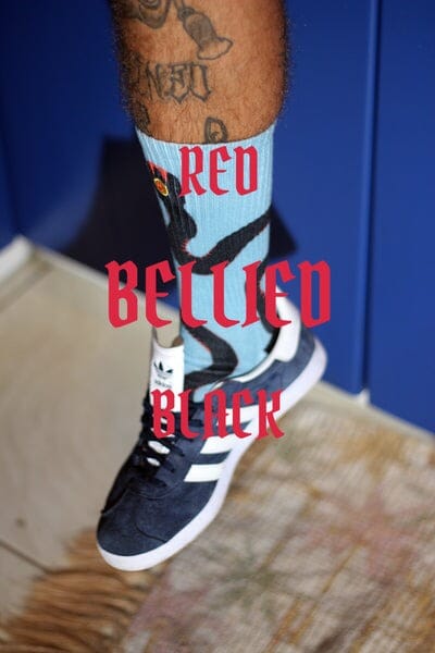 MENNIE Red Bellied Black Snake Socks Socks - Zabecca Living
