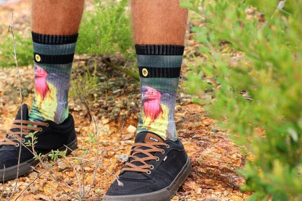 MENNIE Turk Socks Socks - Zabecca Living