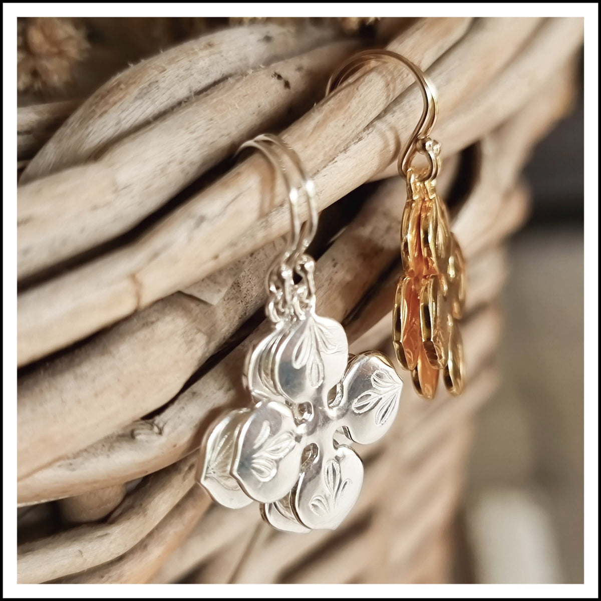 PAIRD Morning Star Standard Earwire Earrings - Silver Earrings - Zabecca Living