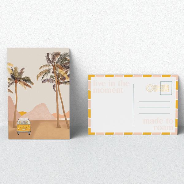 SMELLY BALLS Sunseeker Set - Coconut and Lime AIR FRESHENER - Zabecca Living