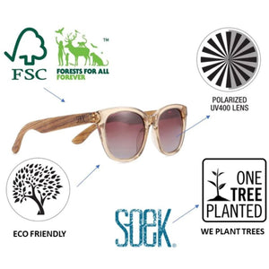 SOEK Taine Black Sunglasses - Tortoise Sunglasses - Zabecca Living