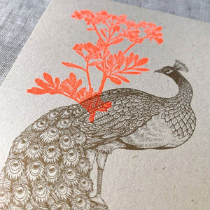 TOGETHERY Greeting Postcard - Peacock with Flower greeting card - Zabecca Living