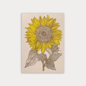 TOGETHERY Greeting Postcard - Sunflower greeting card - Zabecca Living