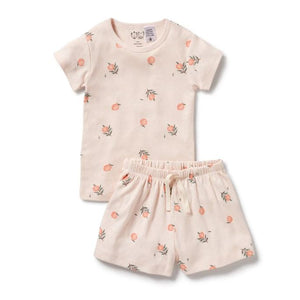 WILSON & FRENCHY Organic Pointelle Short Sleeve Pyjamas - Peaches Kids Pyjamas - Zabecca Living