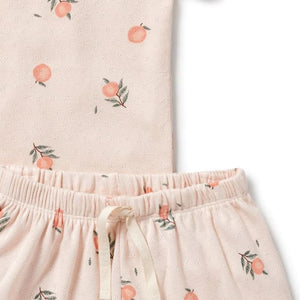 WILSON & FRENCHY Organic Pointelle Short Sleeve Pyjamas - Peaches Kids Pyjamas - Zabecca Living