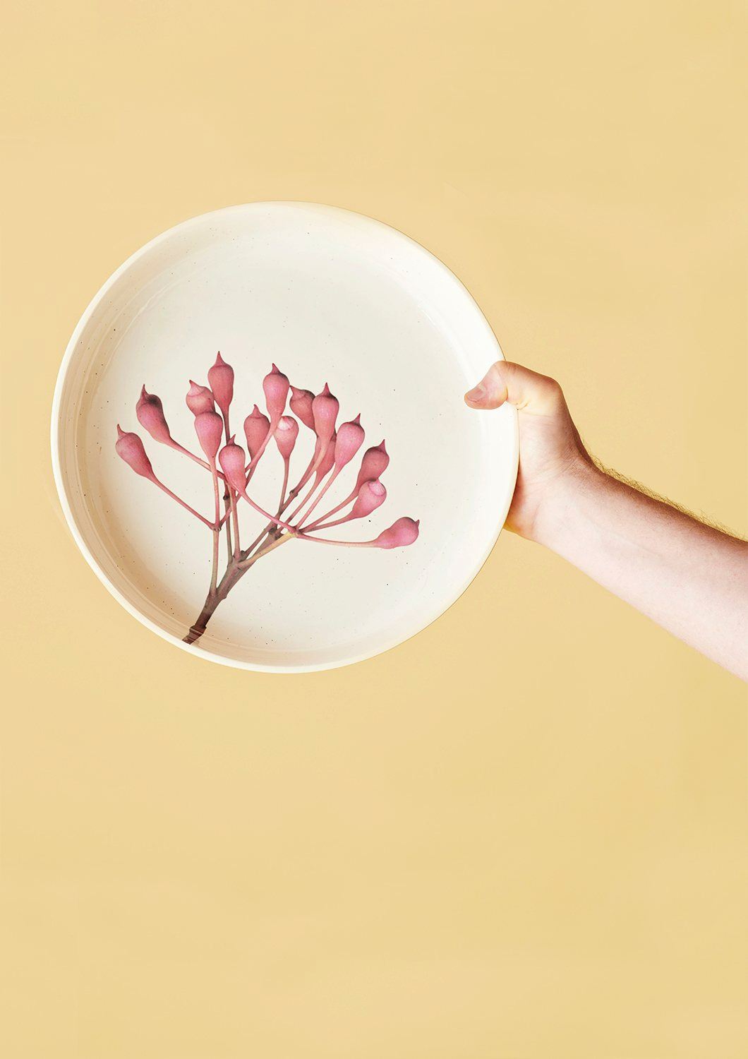 ANGUS & CELESTE Australian Botanicals Server Bowl - Pink Eucalyptus KITCHEN + DINING - Zabecca Living