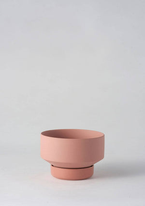 ANGUS & CELESTE Collectors Gro Pot Small - Ochre POT - Zabecca Living
