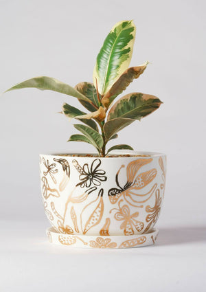 ANGUS & CELESTE Decorative Plant Pot - Gold Garden POT - Zabecca Living
