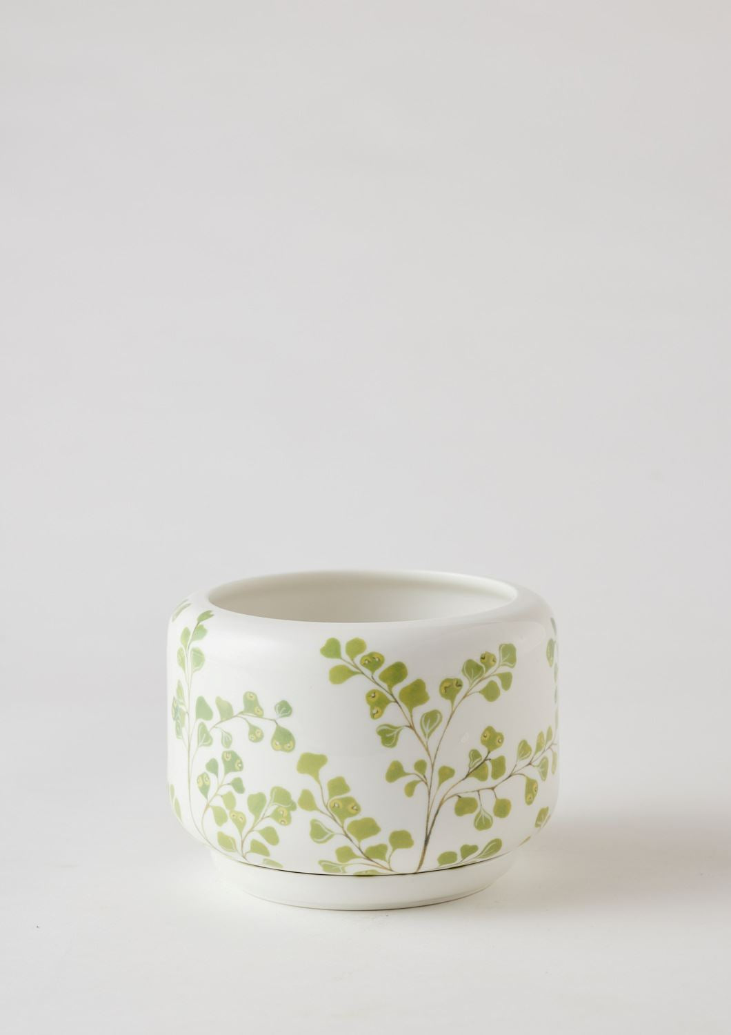 ANGUS & CELESTE Decorative Succulent Pot - Maiden Fern POT - Zabecca Living