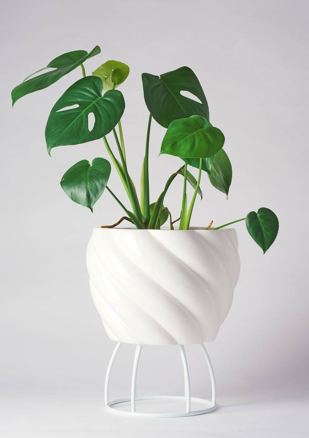ANGUS & CELESTE Spiral Plant Pot Large - White Planter - Zabecca Living