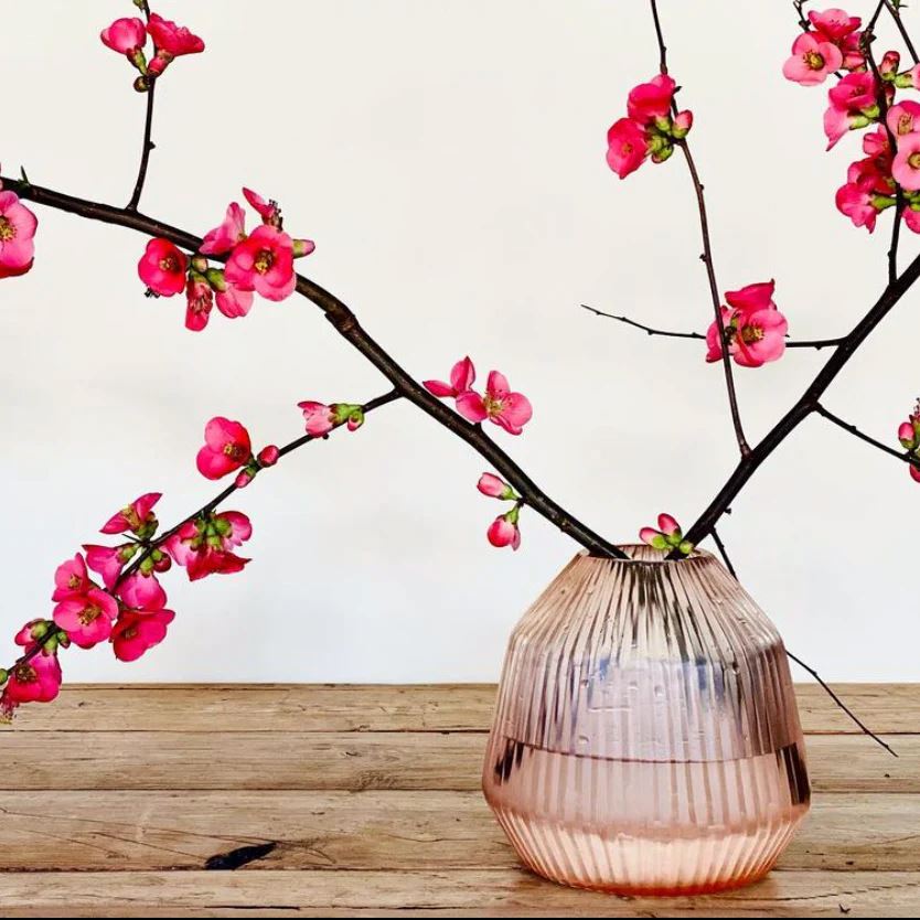 BRIAN TUNKS Cut Glass Mini Conical Vase - Peach VASE - Zabecca Living