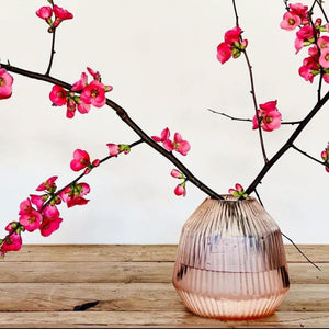 BRIAN TUNKS Cut Glass Mini Conical Vase - Peach VASE - Zabecca Living