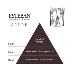 ESTEBAN Bamboo Incense - Cèdre AIR FRESHENER - Zabecca Living