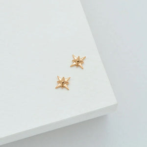 LINDA TAHIJA North Star Stud Earrings - Rose Gold Plated Earrings - Zabecca Living