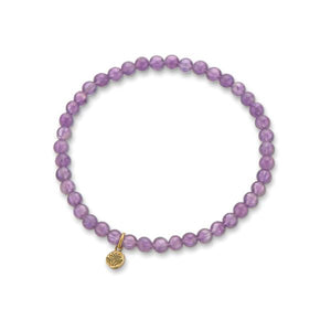 PALAS Amethyst Healing Gem Bracelet BRACELET - Zabecca Living