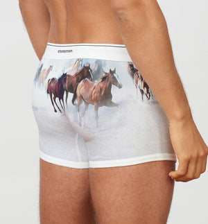 STONEMEN Boxer Brief - Horses MENS UNDERWEAR - Zabecca Living