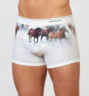 STONEMEN Boxer Brief - Horses MENS UNDERWEAR - Zabecca Living