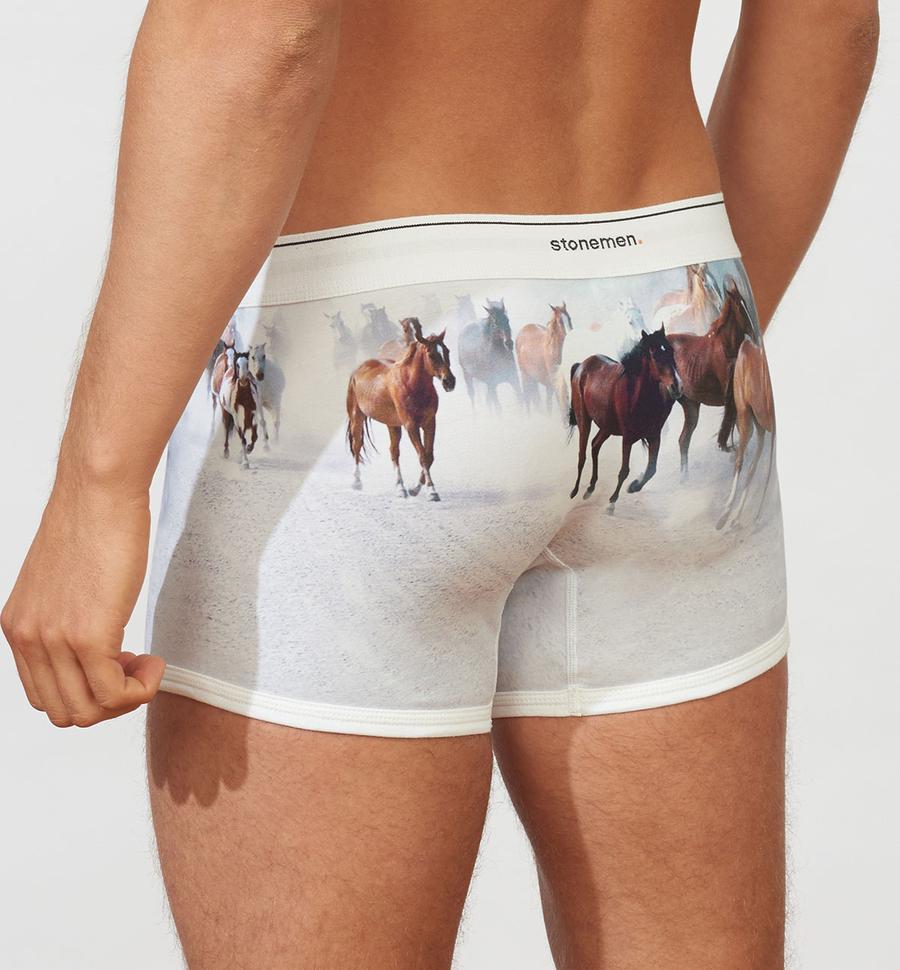 STONEMEN Boxer Brief - Horses MENS UNDERWEAR - Zabecca Living