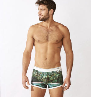 STONEMEN Boxer Brief - Island MENS UNDERWEAR - Zabecca Living