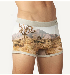 STONEMEN BOXER Brief - Joshua Tree MENS UNDERWEAR - Zabecca Living