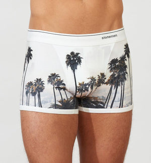 STONEMEN Boxer Brief - LA Vista MENS UNDERWEAR - Zabecca Living