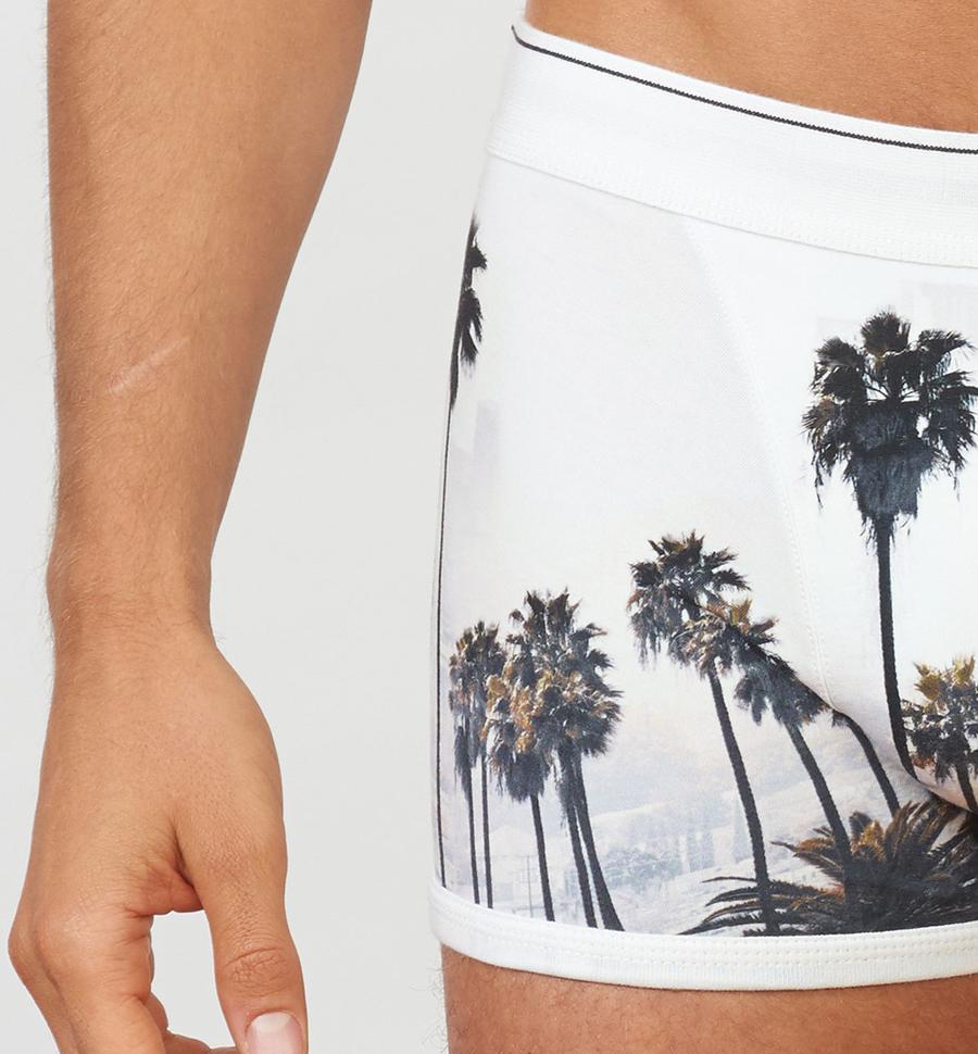 STONEMEN Boxer Brief - LA Vista MENS UNDERWEAR - Zabecca Living