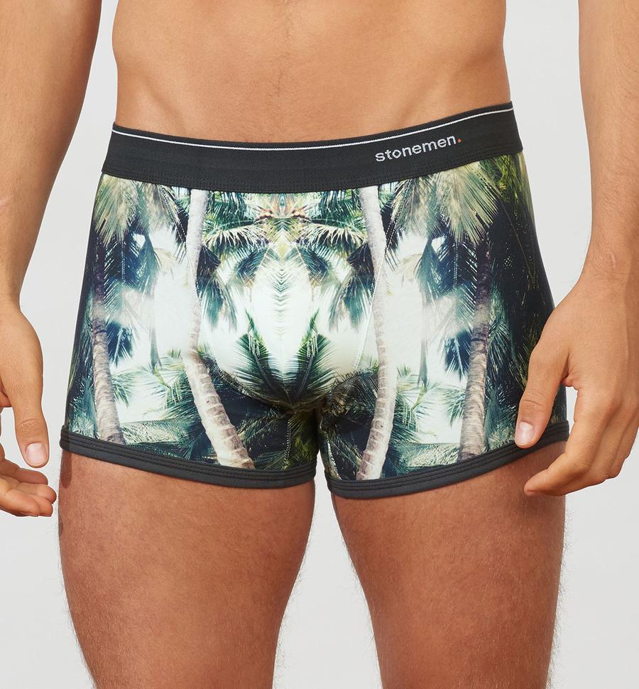 STONEMEN Boxer Brief - Shady Palms MENS UNDERWEAR - Zabecca Living