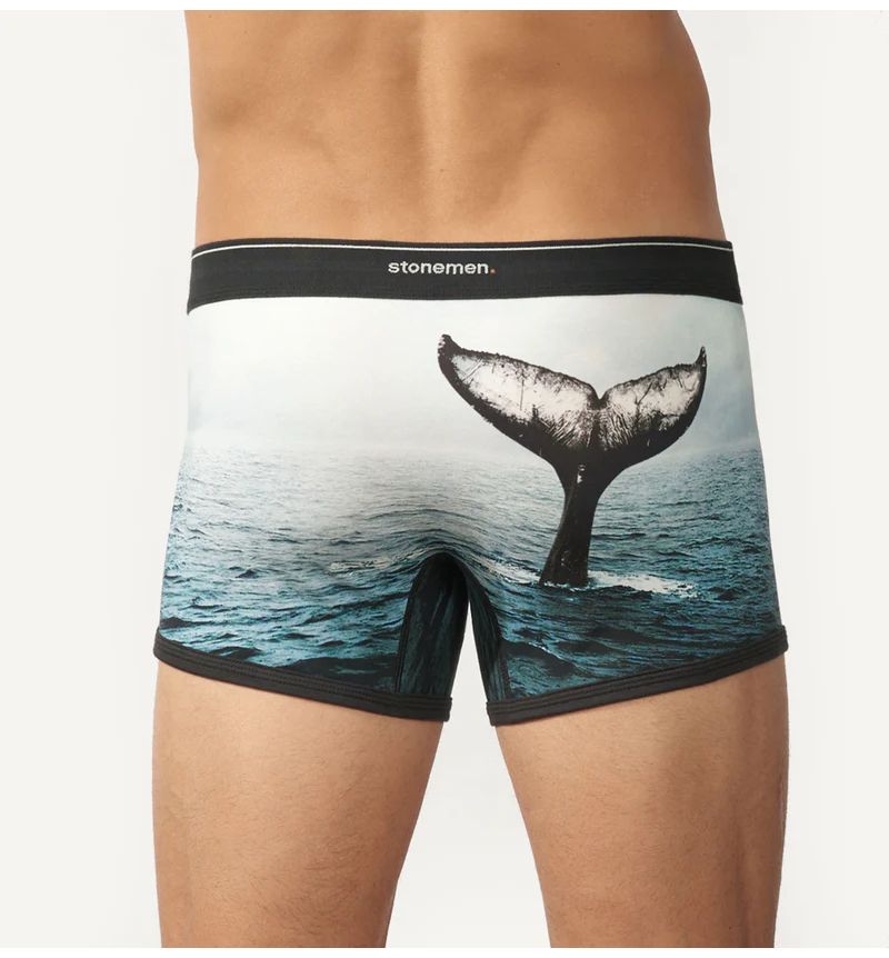 STONEMEN BOXER Brief - Whale Tale MENS UNDERWEAR - Zabecca Living
