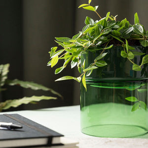 STUDIO MILLIGRAM Organic Interior Glass Flip Planter - Green Moss Planter - Zabecca Living