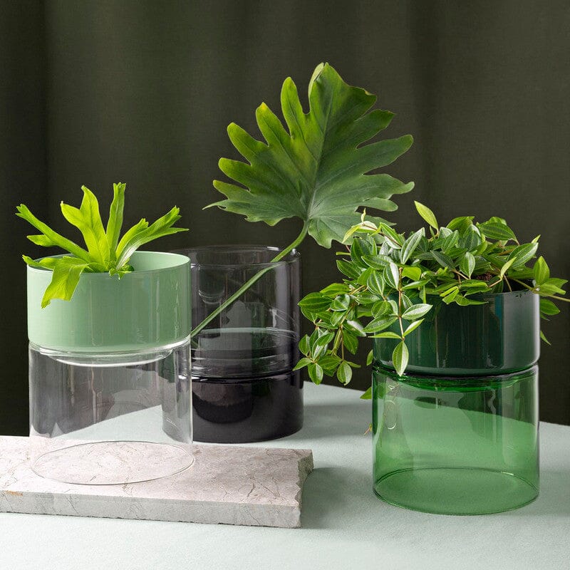 STUDIO MILLIGRAM Organic Interior Glass Flip Planter - Green Moss Planter - Zabecca Living