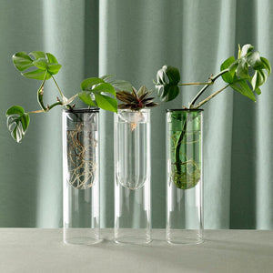 STUDIO MILLIGRAM Organic Interior Propagation Vase - Green VASE - Zabecca Living