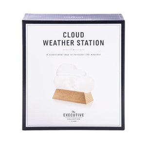 THE EXECUTIVE COLLECTION Cloud Weather Station Organisers - Zabecca Living
