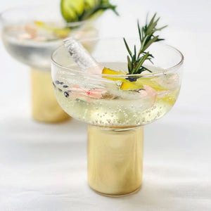 THE SOURCE Patsy Coupe Bowl - Set of 2 DRINKWARE - Zabecca Living