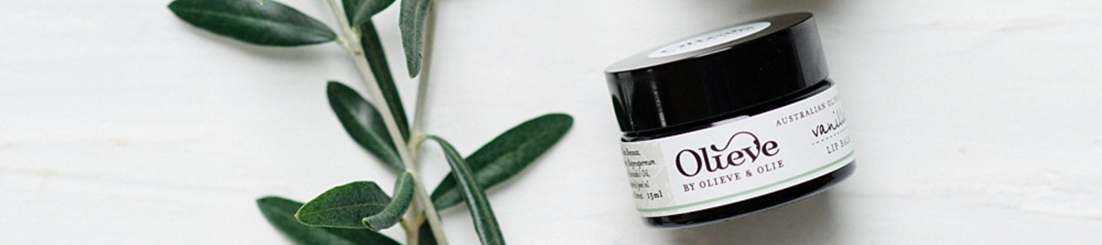 LIP CARE-Zabecca Living