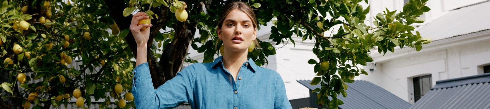 THE SHANTY CORPORATION-Zabecca Living