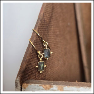 PAIRD Asha Leverback Earwires